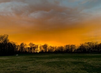 A colorful sunset over the trees
