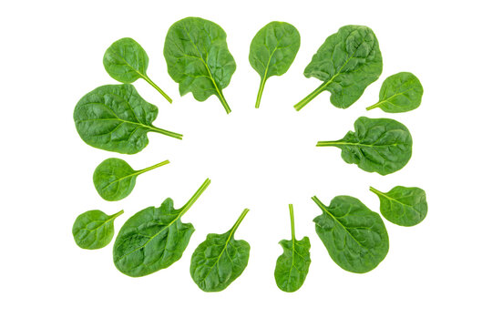 Spinach leaves frame isolated transparent png. Healthy food