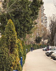 people walking in the City