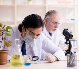 Two chemists working in the lab