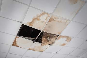 Ceilings damaged by moisture in the interior.