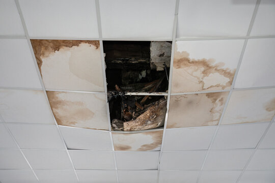 Ceilings damaged by moisture in the interior.