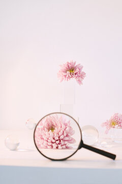 Still life with glass figures and flowers with a magnifying glass