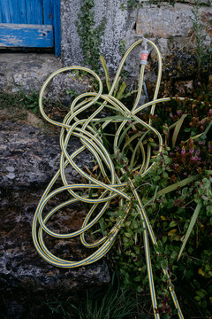 yellow hose pipe  in garden in Brittany France