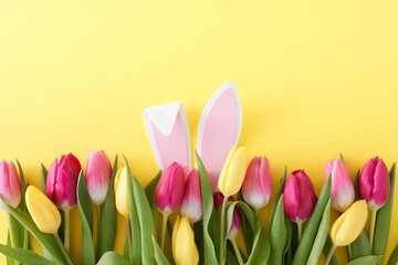 Easter concept. Flat lay photo of easter bunny ears in pink yellow tulips on isolated yellow background with empty space