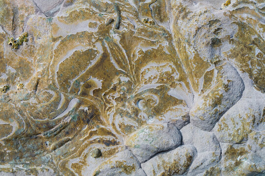 Organic Lines Abstract Stone Texture
