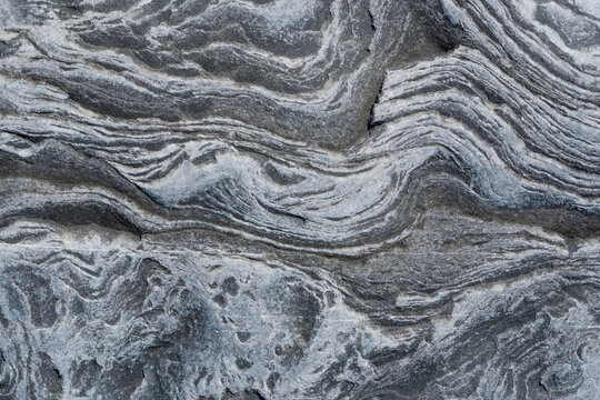 Grey Organic Lines Abstract Stone Texture