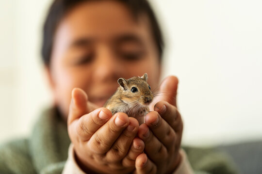 CHILD PLAYING WITH JERBO