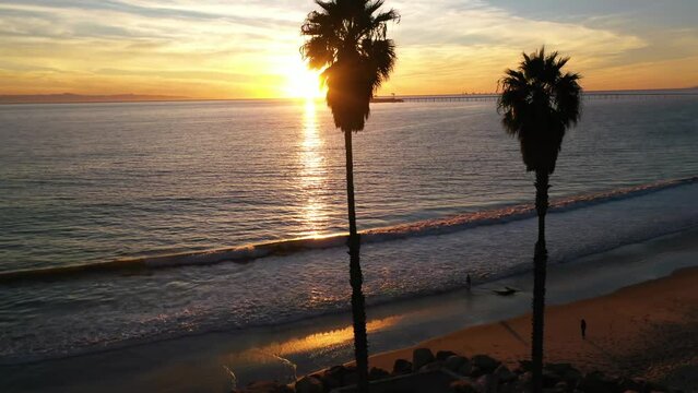Beautiful aerial at sunset on the Coast of California near Malibu Los Angeles with palm trees foreground.