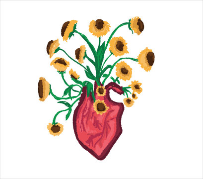 Sunflowers come out of the heart. Heart with sunflowers, vector illustration