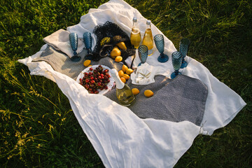 Beautiful summer picnic with fruits and wine