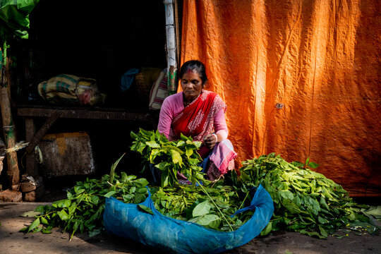 A market vendor selling bundles of mango tree leaves on the street