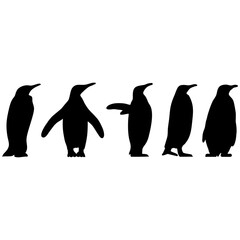 King penguin silhouette #2
