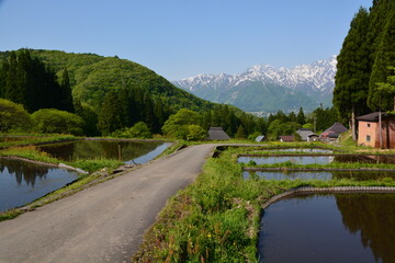 北アルプスを望む農村（白馬村　青鬼集落）