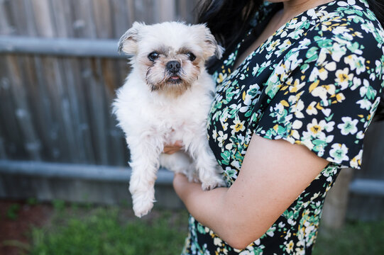 woman holding shih tzu dog in her arms