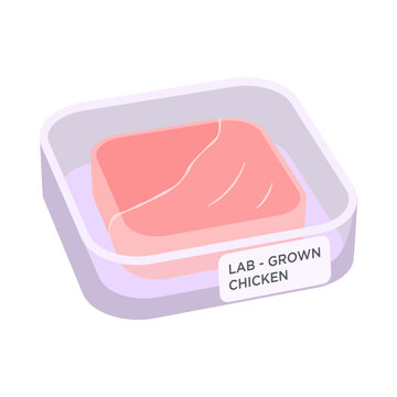 Lab-grown chicken in a Petri dish vector drawing. Cell-cultured chicken fillet from laboratory in glass box isolated on white.
