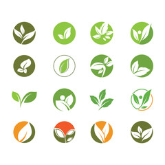 Leaf icon Vector Illustration design Logo template