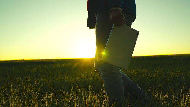 Farmer Silhouette Tablet Field Summer. Harvest Sunset Agriculture Farming Business. Work Man Wheat Display Ground Soil Fresh Plant Asian. Happy Human Market Ripe Corn Young Senior Vertical Looking.