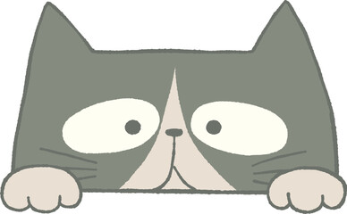 のぞくかわいいねこのイラスト