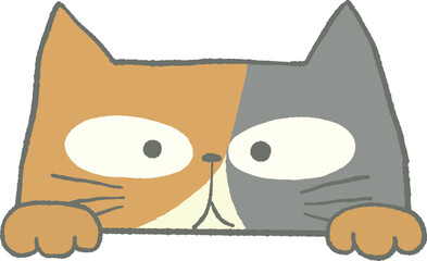 のぞくかわいいねこのイラスト