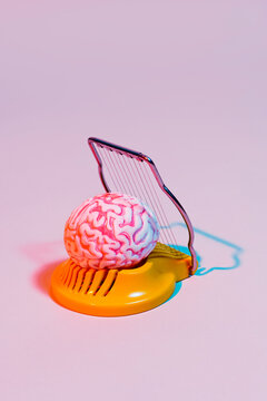 brain about to be sliced