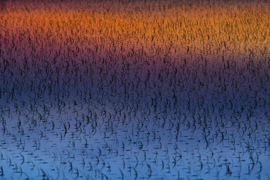 Gradient Colors Reflected In A Rice Paddy