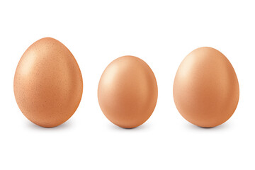 Three eggs on a transparent background. Whole eggs of various shapes. Egg.