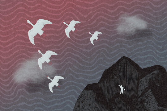 Birds fly away