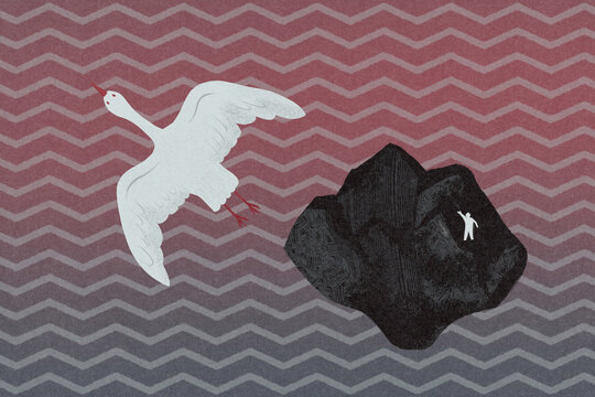 Bird flies away