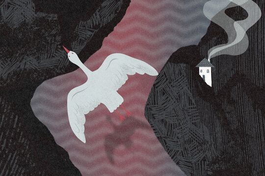 Migrating bird illustration