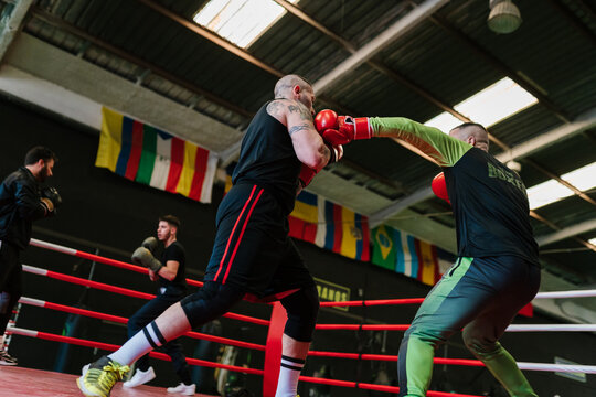 Male boxers practicing in spacious gym
