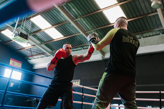 Strong boxers training together on ring