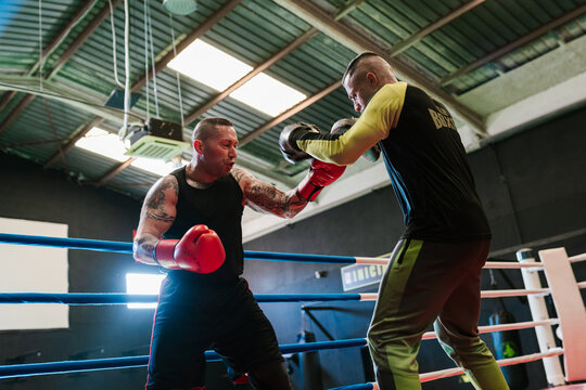 Fighters working out punches in sports club