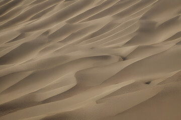 Fototapeta na wymiar sand dune texture
