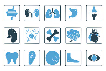 Human organs icon set illustration. Intestines, kidneys, lungs, stomach, joints, spleen, brain, liver, nose and others. Solid icon style. Simple vector design editable - obrazy, fototapety, plakaty
