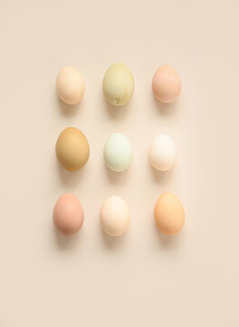 Free-range heritage eggs 