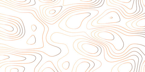Fototapeta premium Panorama view gradient multicolor wave curve lines banner background design. Vector illustration. Line topography map contour background .Abstract Topographic map background with wave line.