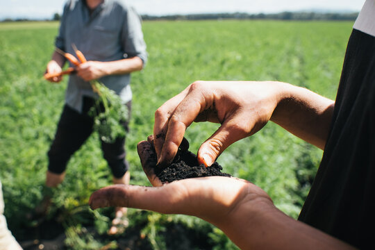 Hand with soil