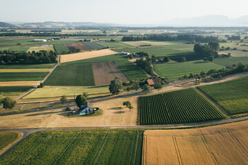 Switzerland's agriculture fields