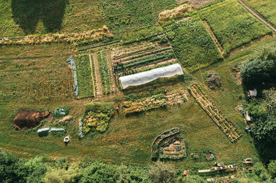 Vegetable Field In Switzerland