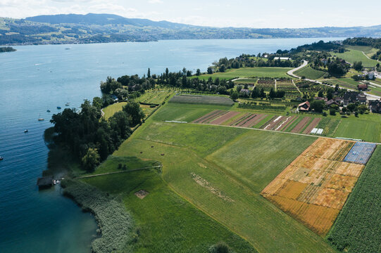 Grain breeding farm