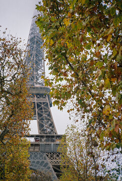 Glimpse of the Eiffel Tower through trees