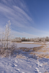 Pylypow Wetlands in the Winter