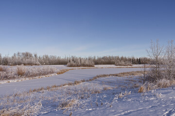 Pylypow Wetlands in the Winter