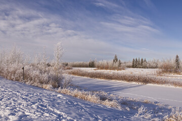 Pylypow Wetlands in the Winter