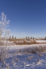 Pylypow Wetlands in the Winter
