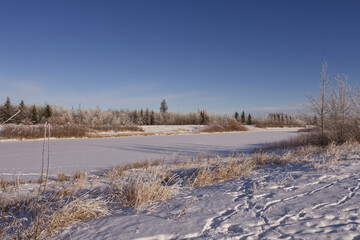 Fototapeta na wymiar Pylypow Wetlands in the Winter