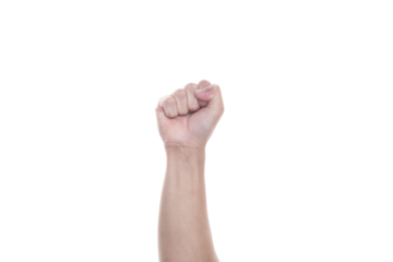 Male's fist