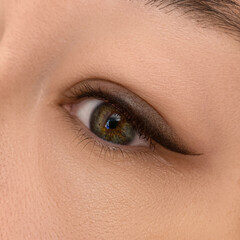 Obraz premium permanent eyeliner makeup close up. Healthy and clean skin young woman
