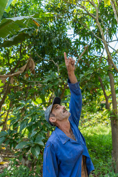 Man In Blue Shirt Pointing To The Sky